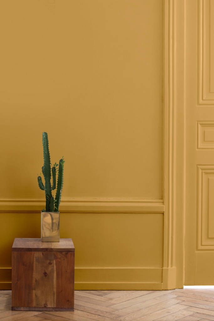 chetoi rénovation toulouse mur jaune moutarde avec cactus sur une pièce en bois devant