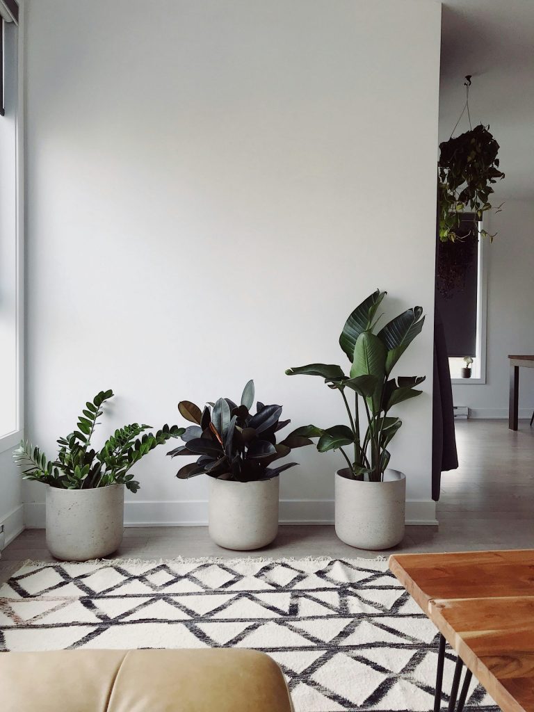 chétoi rénovation toulouse avis clients avec rénovation d'appartement ou maison dans la région midi-pyrénées, espaces avec plantes et mobilier moderne.