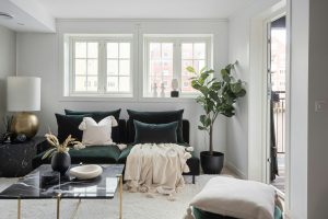 Décoration intérieure moderne et élégante dans un salon lumineux après rénovation, avec un tapis blanc, des plantes, un canapé et des fenêtres derrière le salon.